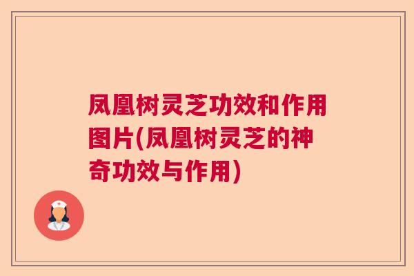 凤凰树灵芝功效和作用图片(凤凰树灵芝的神奇功效与作用) 凤凰树灵芝功效和作用图片(凤凰树灵芝的神奇功效与作用)