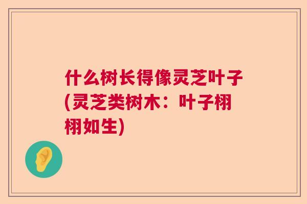 什么树长得像灵芝叶子(灵芝类树木：叶子栩栩如生)