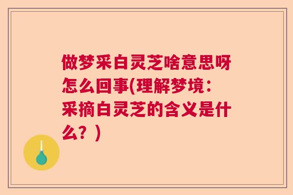 做梦采白灵芝啥意思呀怎么回事(理解梦境:采摘白灵芝的含义是什么?) 做梦采白灵芝啥意思呀怎么回事(理解梦境:采摘白灵芝的含义是什么?)