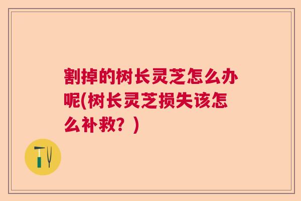 割掉的树长灵芝怎么办呢(树长灵芝损失该怎么补救?) 割掉的树长灵芝怎么办呢(树长灵芝损失该怎么补救?)