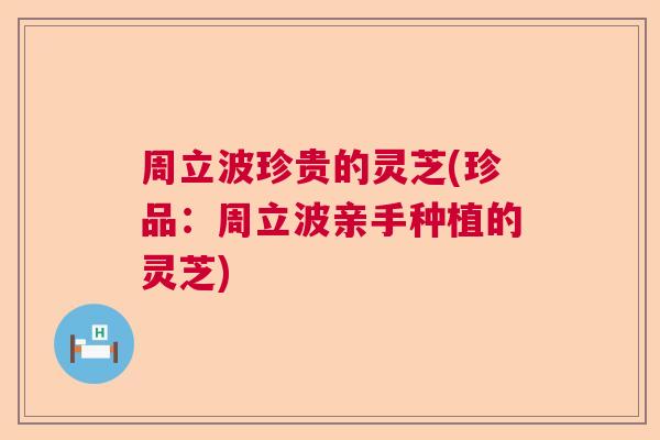 周立波珍贵的灵芝(珍品:周立波亲手种植的灵芝) 周立波珍贵的灵芝(珍品:周立波亲手种植的灵芝)