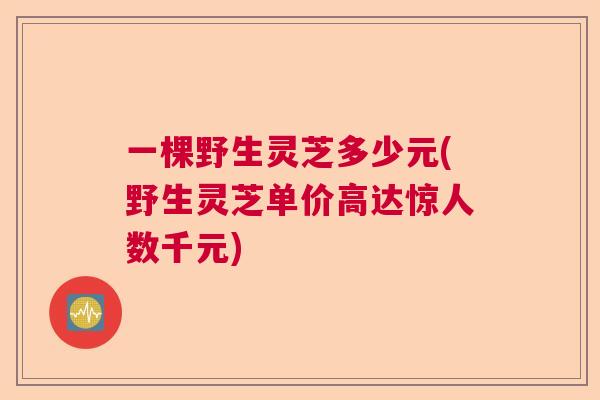 一棵野生灵芝多少元(野生灵芝单价高达惊人数千元) 一棵野生灵芝多少元(野生灵芝单价高达惊人数千元)