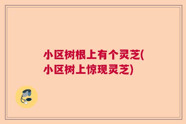 小区树根上有个灵芝(小区树上惊现灵芝) 小区树根上有个灵芝(小区树上惊现灵芝)