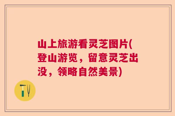 山上旅游看灵芝图片(登山游览,留意灵芝出没,领略自然美景) 山上旅游看灵芝图片(登山游览,留意灵芝出没,领略自然美景)