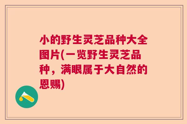 小的野生灵芝品种大全图片(一览野生灵芝品种,满眼属于大自然的恩赐) 小的野生灵芝品种大全图片(一览野生灵芝品种,满眼属于大自然的恩赐)