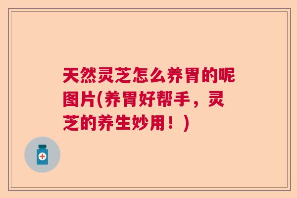 天然灵芝怎么养胃的呢图片(养胃好帮手,灵芝的养生妙用!) 天然灵芝怎么养胃的呢图片(养胃好帮手,灵芝的养生妙用!)