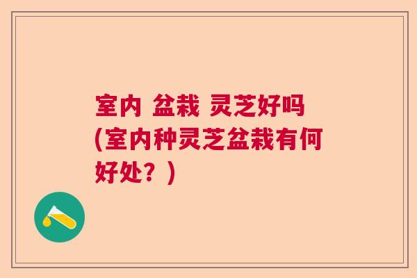 室内 盆栽 灵芝好吗(室内种灵芝盆栽有何好处?) 室内 盆栽 灵芝好吗(室内种灵芝盆栽有何好处?)