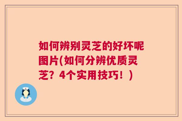 如何辨别灵芝的好坏呢图片(如何分辨优质灵芝?4个实用技巧!) 如何辨别灵芝的好坏呢图片(如何分辨优质灵芝?4个实用技巧!)