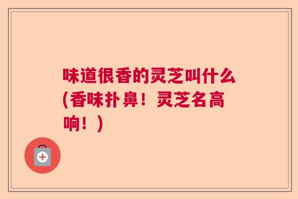 味道很香的灵芝叫什么(香味扑鼻！灵芝名高响！)