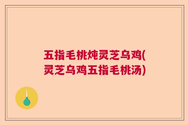 五指毛桃炖灵芝乌鸡(灵芝乌鸡五指毛桃汤) 五指毛桃炖灵芝乌鸡(灵芝乌鸡五指毛桃汤)