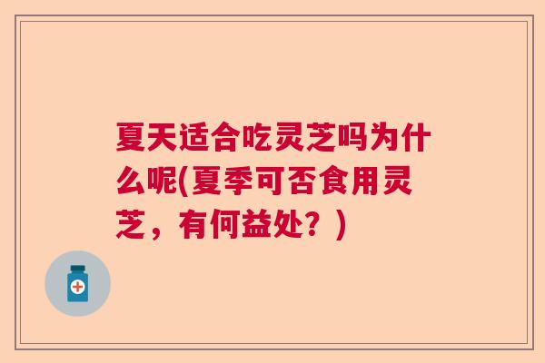 夏天适合吃灵芝吗为什么呢(夏季可否食用灵芝,有何益处?) 夏天适合吃灵芝吗为什么呢(夏季可否食用灵芝,有何益处?)