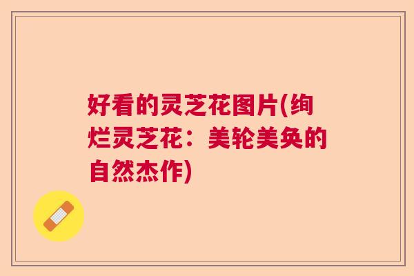 好看的灵芝花图片(绚烂灵芝花:美轮美奂的自然杰作) 好看的灵芝花图片(绚烂灵芝花:美轮美奂的自然杰作)