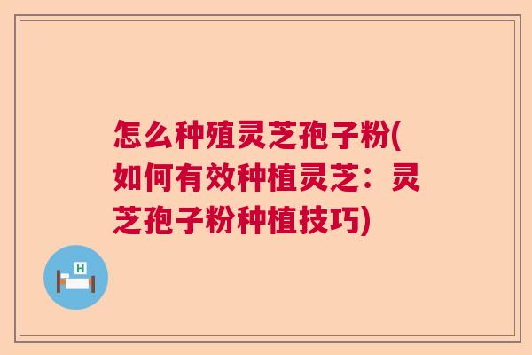 怎么种殖灵芝孢子粉(如何有效种植灵芝:灵芝孢子粉种植技巧) 怎么种殖灵芝孢子粉(如何有效种植灵芝:灵芝孢子粉种植技巧)