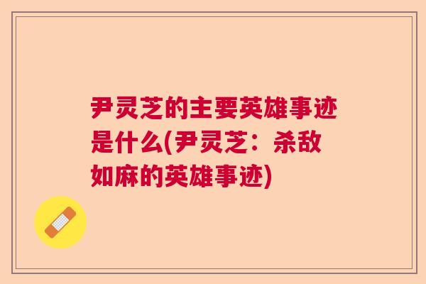尹灵芝的主要英雄事迹是什么(尹灵芝：杀敌如麻的英雄事迹)