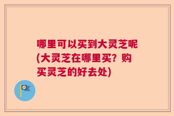 哪里可以买到大灵芝呢(大灵芝在哪里买?购买灵芝的好去处) 哪里可以买到大灵芝呢(大灵芝在哪里买?购买灵芝的好去处)