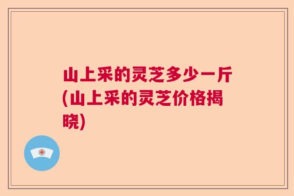 山上采的灵芝多少一斤(山上采的灵芝价格揭晓) 山上采的灵芝多少一斤(山上采的灵芝价格揭晓)