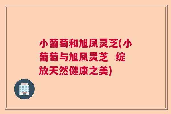 小葡萄和旭凤灵芝(小葡萄与旭凤灵芝 绽放天然健康之美) 小葡萄和旭凤灵芝(小葡萄与旭凤灵芝 绽放天然健康之美)