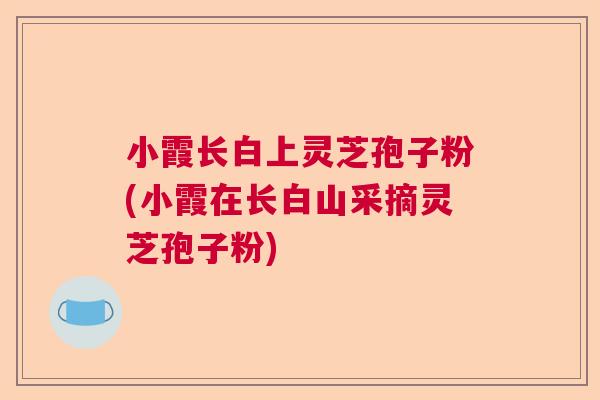 小霞长白上灵芝孢子粉(小霞在长白山采摘灵芝孢子粉)