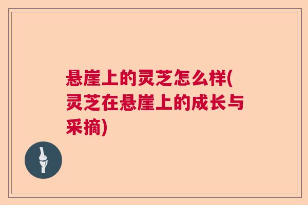 悬崖上的灵芝怎么样(灵芝在悬崖上的成长与采摘) 悬崖上的灵芝怎么样(灵芝在悬崖上的成长与采摘)