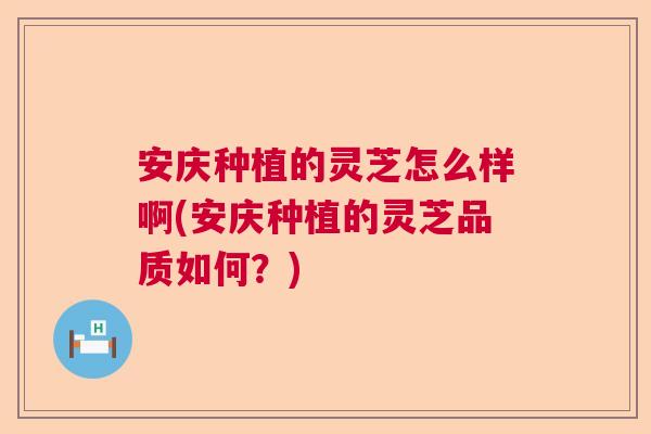 安庆种植的灵芝怎么样啊(安庆种植的灵芝品质如何?) 安庆种植的灵芝怎么样啊(安庆种植的灵芝品质如何?)