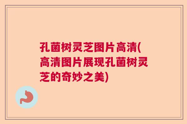 孔菌树灵芝图片高清(高清图片展现孔菌树灵芝的奇妙之美)