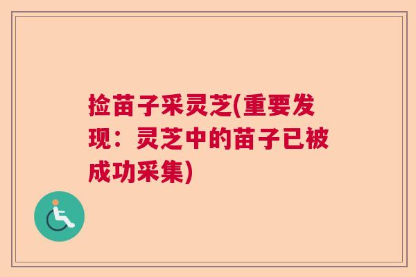 捡苗子采灵芝(重要发现:灵芝中的苗子已被成功采集) 捡苗子采灵芝(重要发现:灵芝中的苗子已被成功采集)