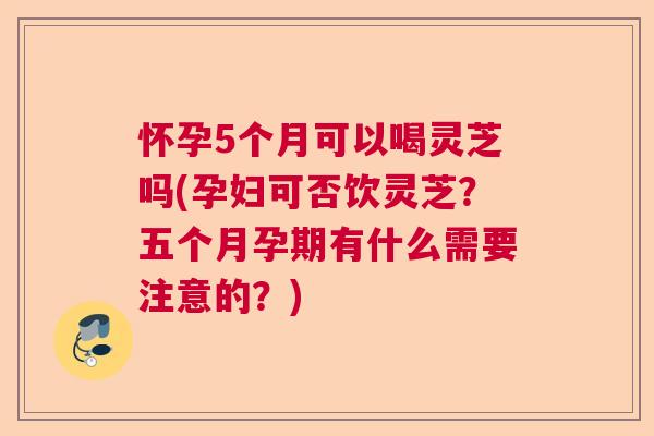 怀孕5个月可以喝灵芝吗(孕妇可否饮灵芝?五个月孕期有什么需要注意的?) 怀孕5个月可以喝灵芝吗(孕妇可否饮灵芝?五个月孕期有什么需要注意的?)