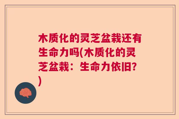 木质化的灵芝盆栽还有生命力吗(木质化的灵芝盆栽:生命力依旧?) 木质化的灵芝盆栽还有生命力吗(木质化的灵芝盆栽:生命力依旧?)