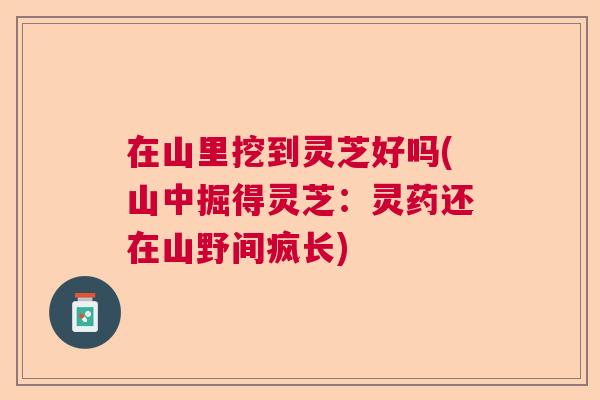 在山里挖到灵芝好吗(山中掘得灵芝:灵药还在山野间疯长) 在山里挖到灵芝好吗(山中掘得灵芝:灵药还在山野间疯长)
