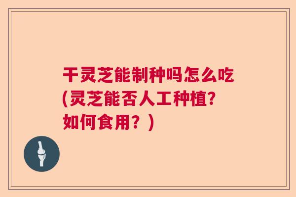干灵芝能制种吗怎么吃(灵芝能否人工种植?如何食用?) 干灵芝能制种吗怎么吃(灵芝能否人工种植?如何食用?)
