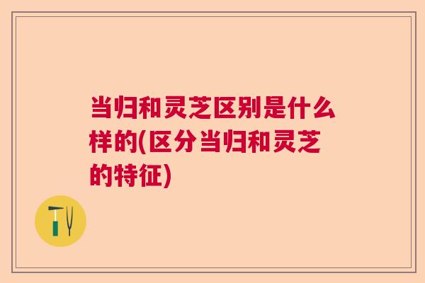 当归和灵芝区别是什么样的(区分当归和灵芝的特征) 当归和灵芝区别是什么样的(区分当归和灵芝的特征)