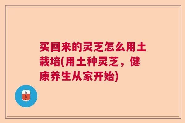 买回来的灵芝怎么用土栽培(用土种灵芝,健康养生从家开始) 买回来的灵芝怎么用土栽培(用土种灵芝,健康养生从家开始)