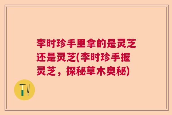 李时珍手里拿的是灵芝还是灵芝(李时珍手握灵芝,探秘草木奥秘) 李时珍手里拿的是灵芝还是灵芝(李时珍手握灵芝,探秘草木奥秘)