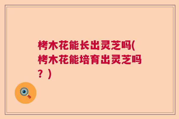 栲木花能长出灵芝吗(栲木花能培育出灵芝吗?) 栲木花能长出灵芝吗(栲木花能培育出灵芝吗?)