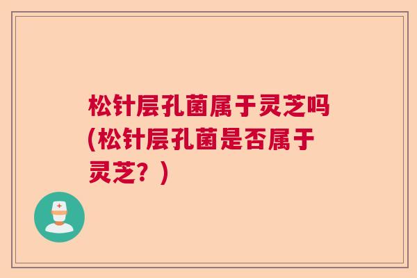 松针层孔菌属于灵芝吗(松针层孔菌是否属于灵芝?) 松针层孔菌属于灵芝吗(松针层孔菌是否属于灵芝?)