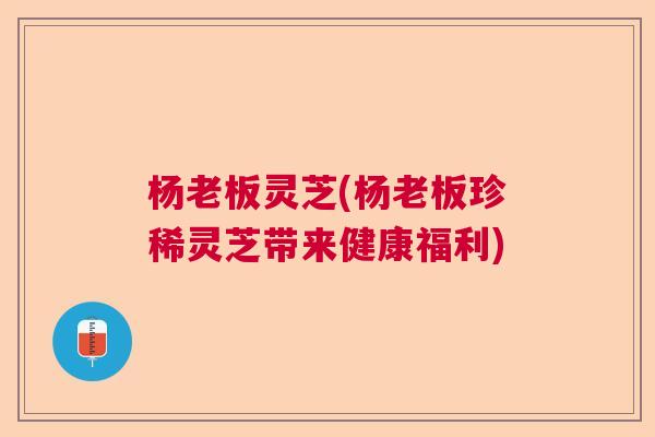 杨老板灵芝(杨老板珍稀灵芝带来健康福利) 杨老板灵芝(杨老板珍稀灵芝带来健康福利)