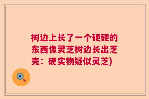 树边上长了一个硬硬的东西像灵芝树边长出芝壳:硬实物疑似灵芝) 树边上长了一个硬硬的东西像灵芝树边长出芝壳:硬实物疑似灵芝)