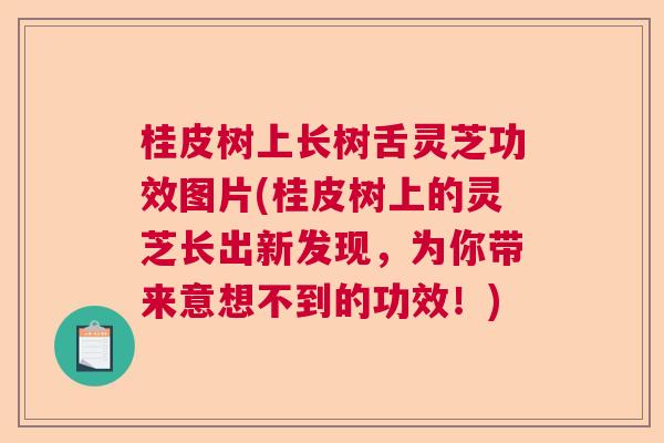 桂皮树上长树舌灵芝功效图片(桂皮树上的灵芝长出新发现,为你带来意想不到的功效!) 桂皮树上长树舌灵芝功效图片(桂皮树上的灵芝长出新发现,为你带来意想不到的功效!)