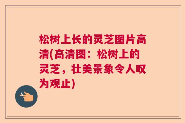 松树上长的灵芝图片高清(高清图:松树上的灵芝,壮美景象令人叹为观止) 松树上长的灵芝图片高清(高清图:松树上的灵芝,壮美景象令人叹为观止)