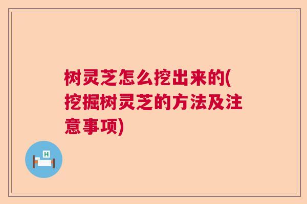 树灵芝怎么挖出来的(挖掘树灵芝的方法及注意事项) 树灵芝怎么挖出来的(挖掘树灵芝的方法及注意事项)