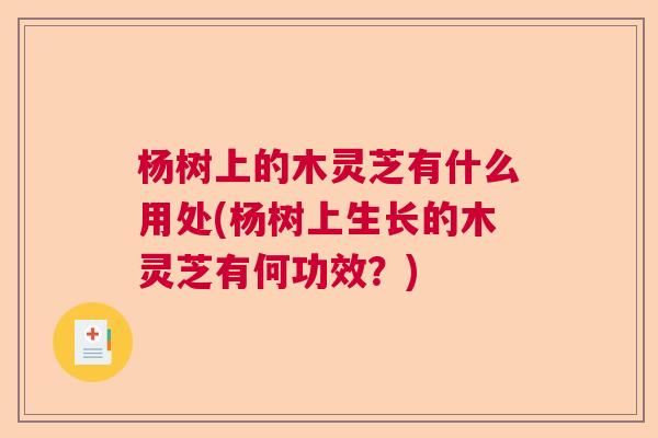 杨树上的木灵芝有什么用处(杨树上生长的木灵芝有何功效?) 杨树上的木灵芝有什么用处(杨树上生长的木灵芝有何功效?)