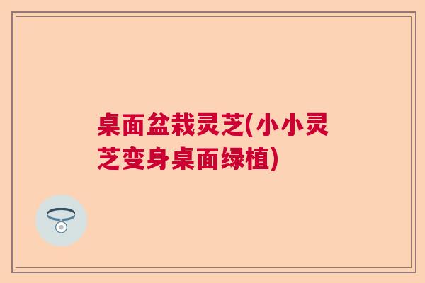 桌面盆栽灵芝(小小灵芝变身桌面绿植) 桌面盆栽灵芝(小小灵芝变身桌面绿植)