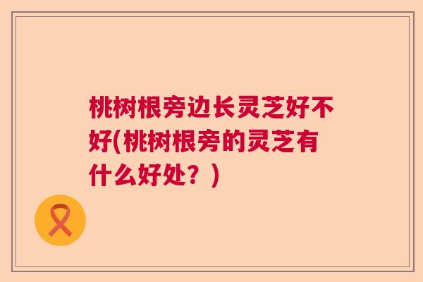 桃树根旁边长灵芝好不好(桃树根旁的灵芝有什么好处?) 桃树根旁边长灵芝好不好(桃树根旁的灵芝有什么好处?)