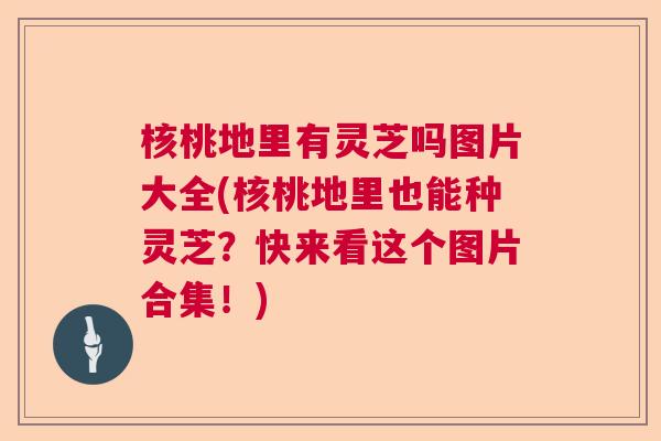 核桃地里有灵芝吗图片大全(核桃地里也能种灵芝?快来看这个图片合集!) 核桃地里有灵芝吗图片大全(核桃地里也能种灵芝?快来看这个图片合集!)