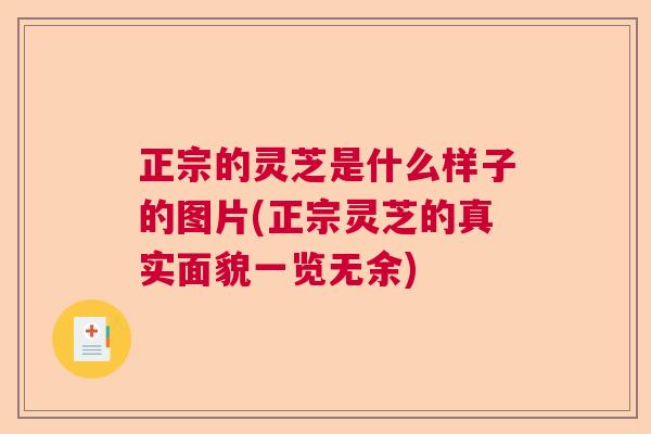 正宗的灵芝是什么样子的图片(正宗灵芝的真实面貌一览无余) 正宗的灵芝是什么样子的图片(正宗灵芝的真实面貌一览无余)