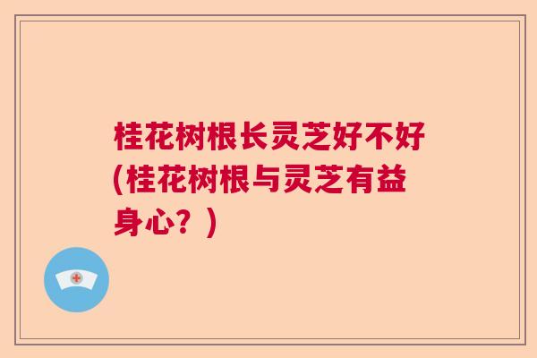 桂花树根长灵芝好不好(桂花树根与灵芝有益身心?) 桂花树根长灵芝好不好(桂花树根与灵芝有益身心?)