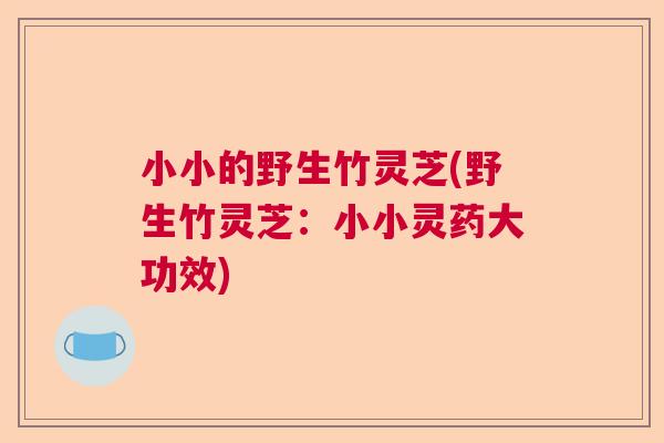 小小的野生竹灵芝(野生竹灵芝:小小灵药大功效) 小小的野生竹灵芝(野生竹灵芝:小小灵药大功效)