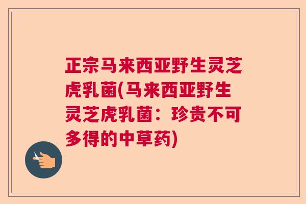 正宗马来西亚野生灵芝虎乳菌(马来西亚野生灵芝虎乳菌:珍贵不可多得的中草药) 正宗马来西亚野生灵芝虎乳菌(马来西亚野生灵芝虎乳菌:珍贵不可多得的中草药)