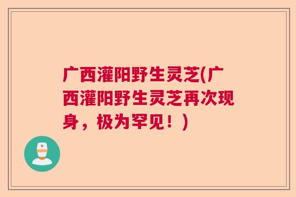 广西灌阳野生灵芝(广西灌阳野生灵芝再次现身,极为罕见!) 广西灌阳野生灵芝(广西灌阳野生灵芝再次现身,极为罕见!)