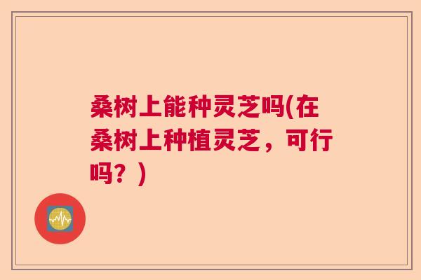 桑树上能种灵芝吗(在桑树上种植灵芝,可行吗?) 桑树上能种灵芝吗(在桑树上种植灵芝,可行吗?)